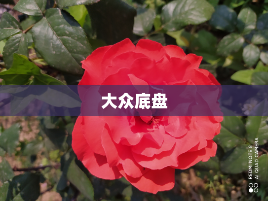 大众底盘