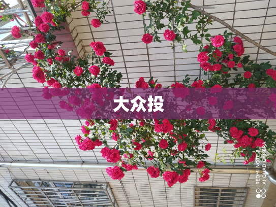大众投