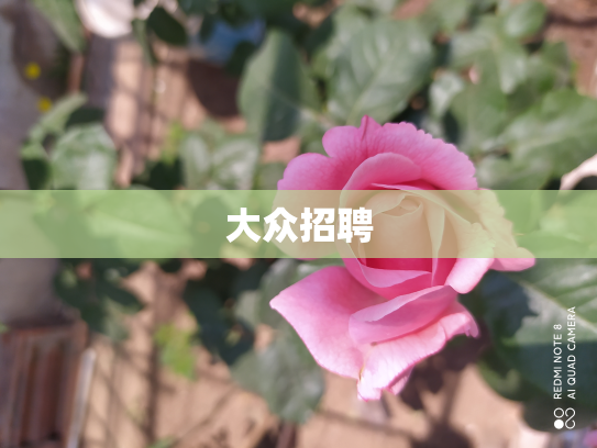 大众招聘