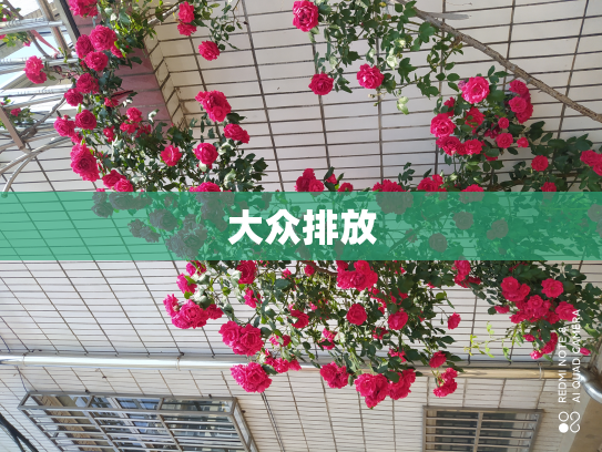大众排放