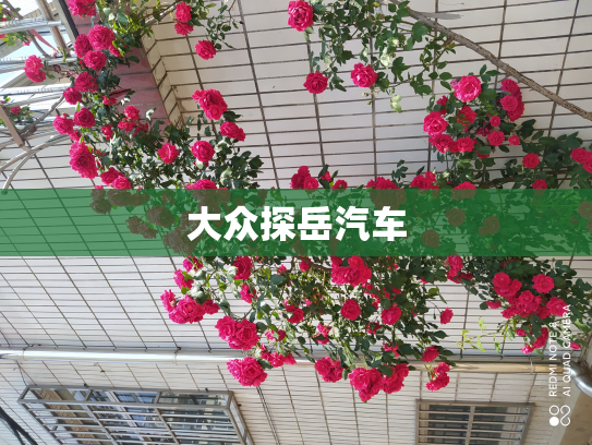 大众探岳汽车