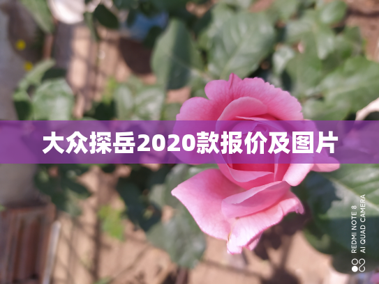 大众探岳2020款报价及图片