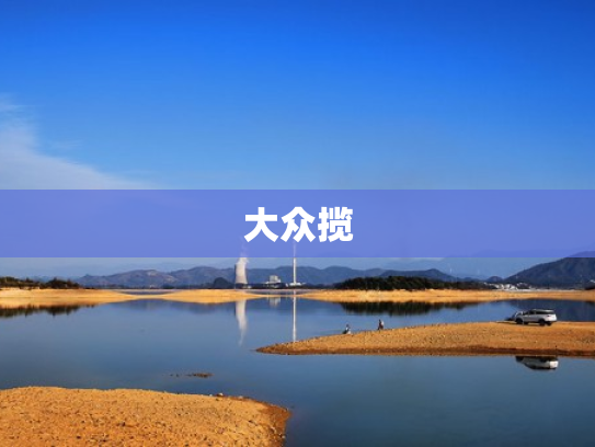 大众揽
