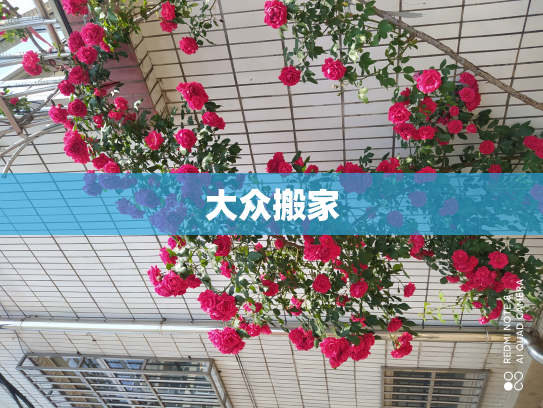 大众搬家