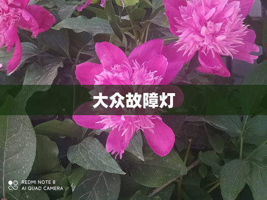 大众故障灯