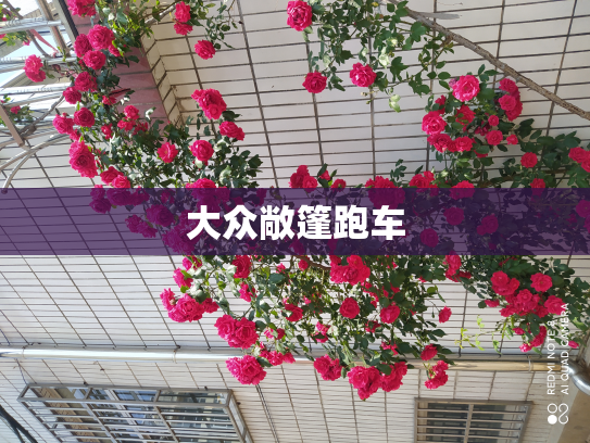 大众敞篷跑车