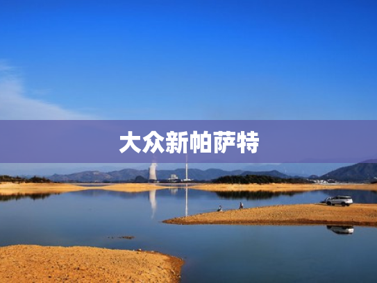 大众新帕萨特