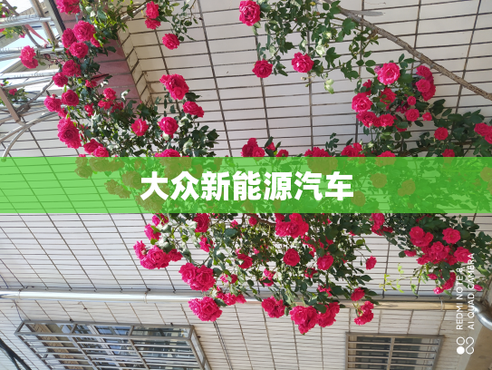 大众新能源汽车