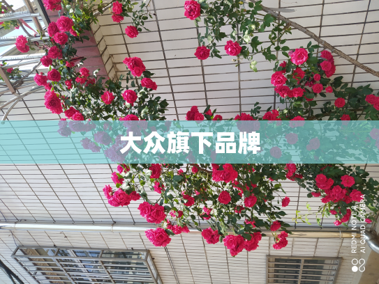 大众旗下品牌
