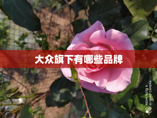 大众旗下有哪些品牌