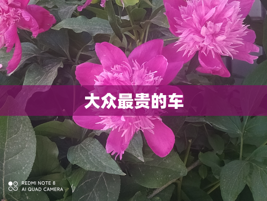 大众最贵的车