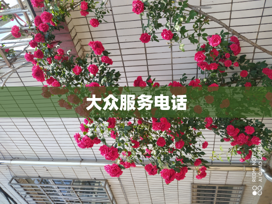 大众服务电话