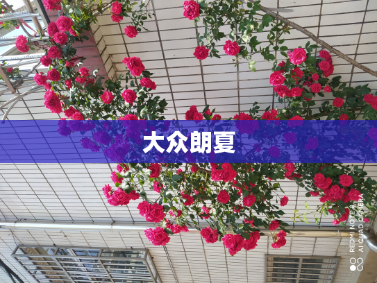 大众朗夏