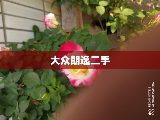 大众朗逸二手