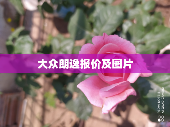 大众朗逸报价及图片
