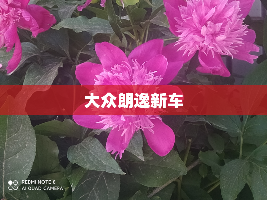 大众朗逸新车