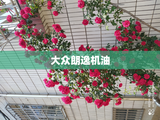 大众朗逸机油