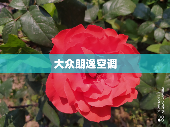 大众朗逸空调