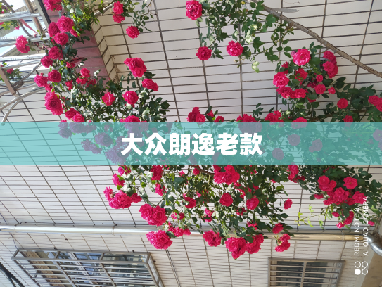 大众朗逸老款