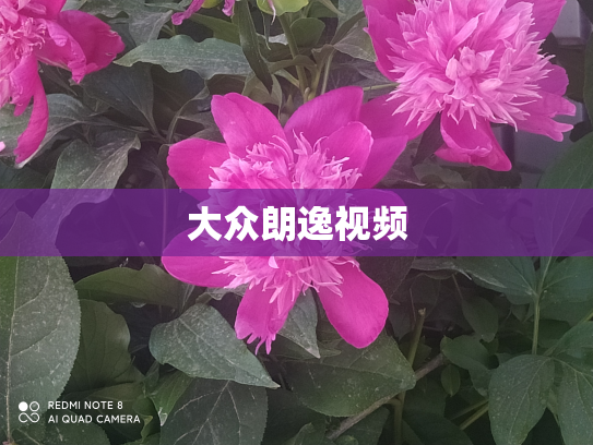 大众朗逸视频
