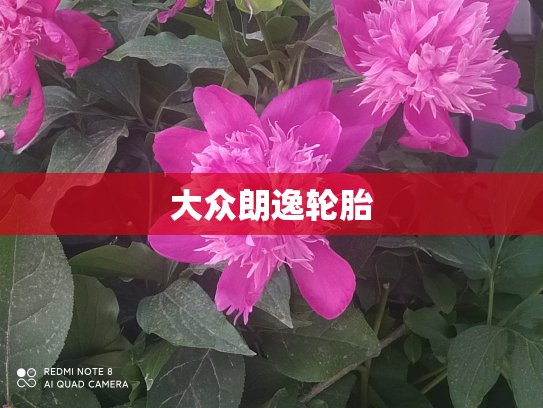 大众朗逸轮胎