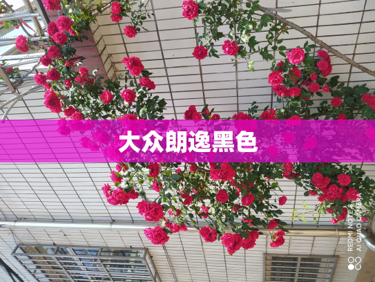 大众朗逸黑色