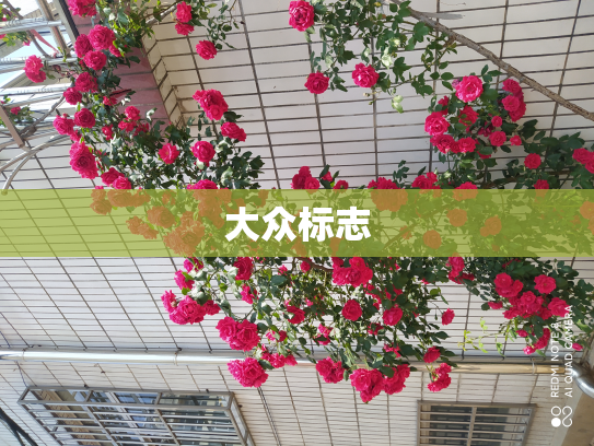 大众标志