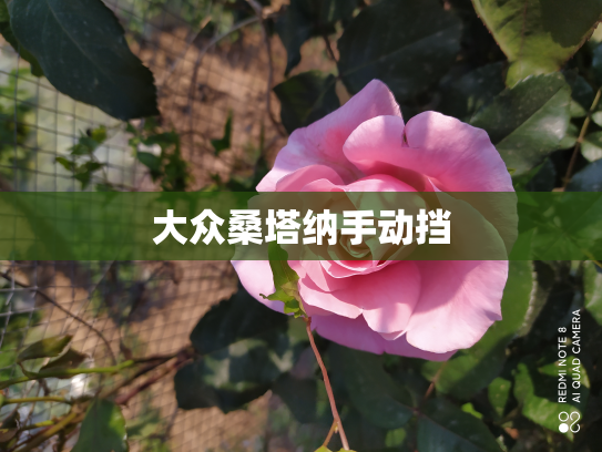 大众桑塔纳手动挡