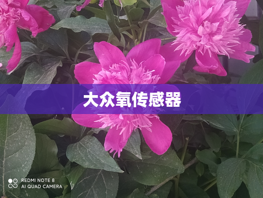 大众氧传感器