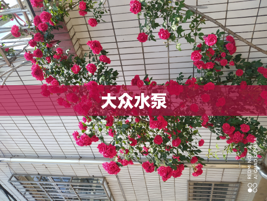 大众水泵