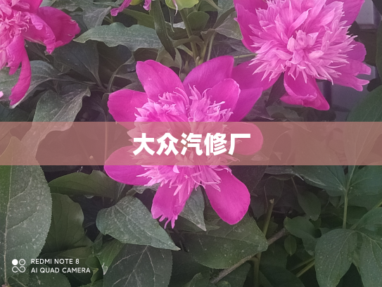 大众汽修厂