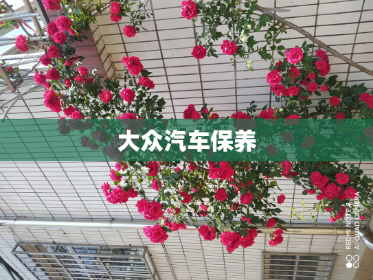 大众汽车保养