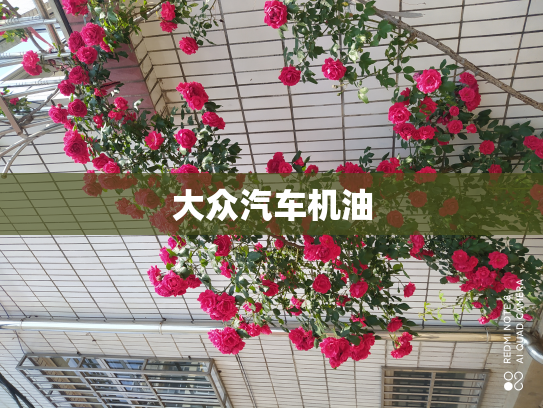 大众汽车机油