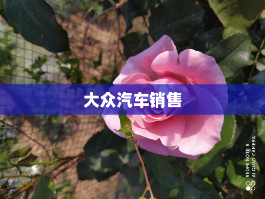 大众汽车销售