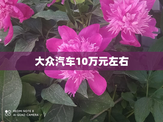 大众汽车10万元左右