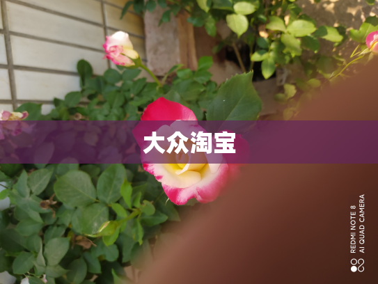 大众淘宝