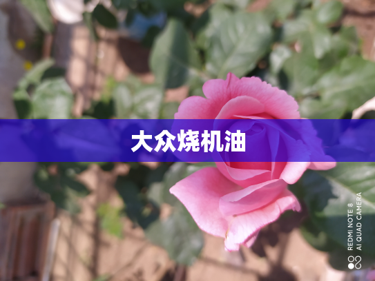 大众烧机油