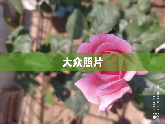 大众照片