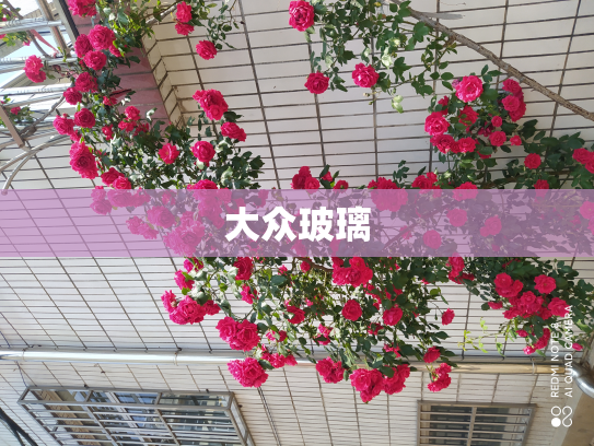 大众玻璃