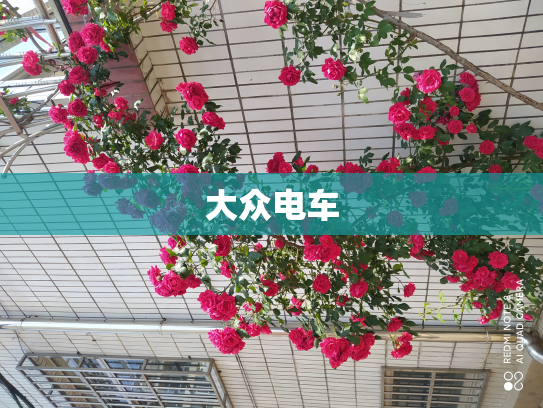 大众电车