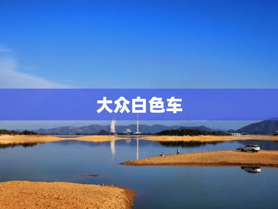 大众白色车