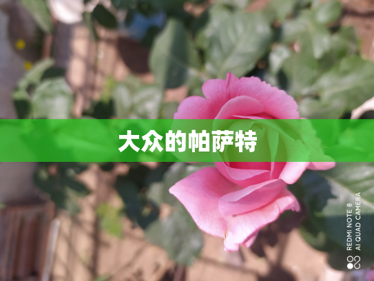 大众的帕萨特