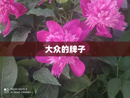 大众的牌子