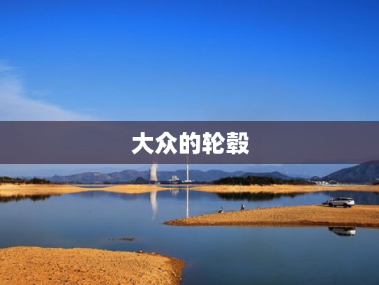 大众的轮毂
