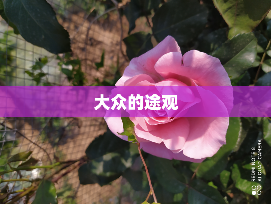 大众的途观