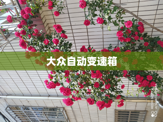 大众自动变速箱