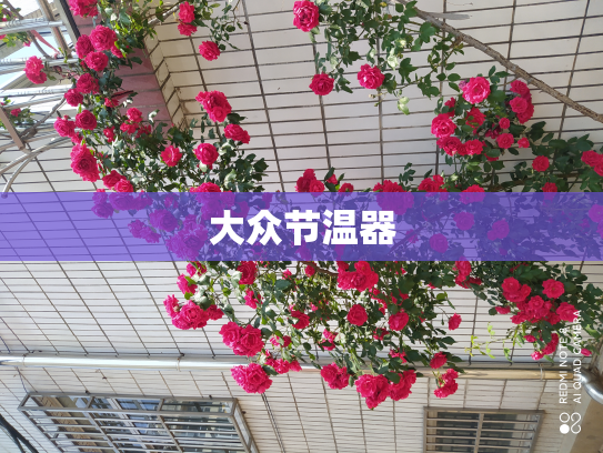 大众节温器