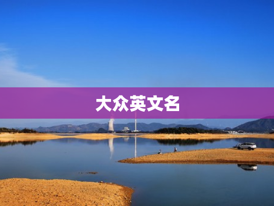 大众英文名