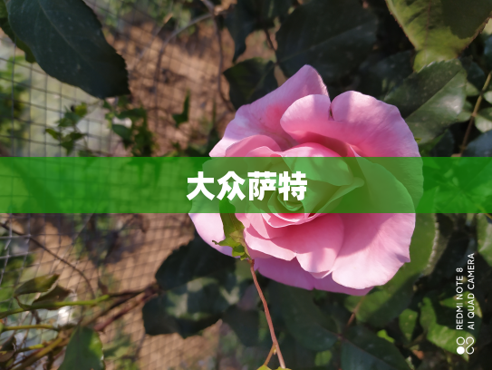 大众萨特