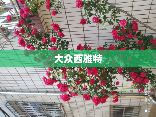 大众西雅特